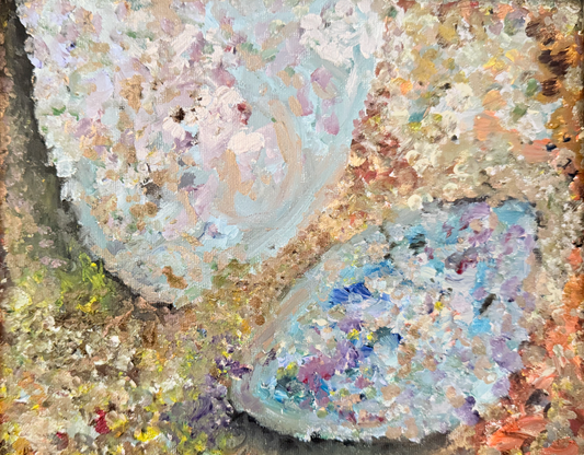 The Portraits XXI Manifold Study II (Quahog Shell)